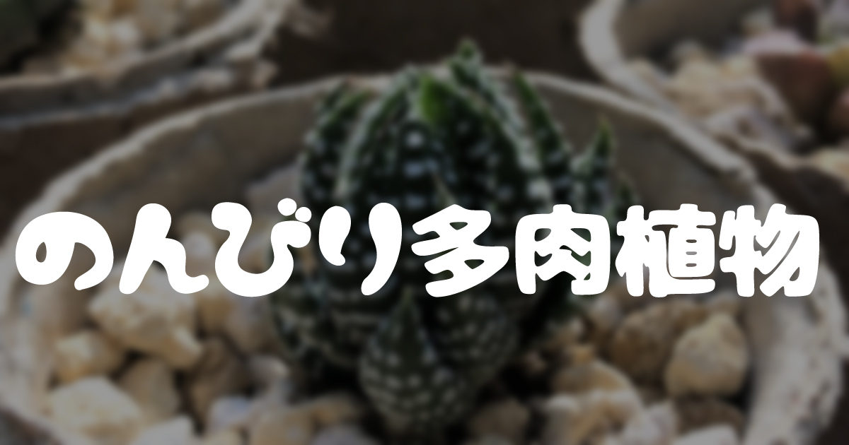 失敗から学ぶ のんびり多肉植物